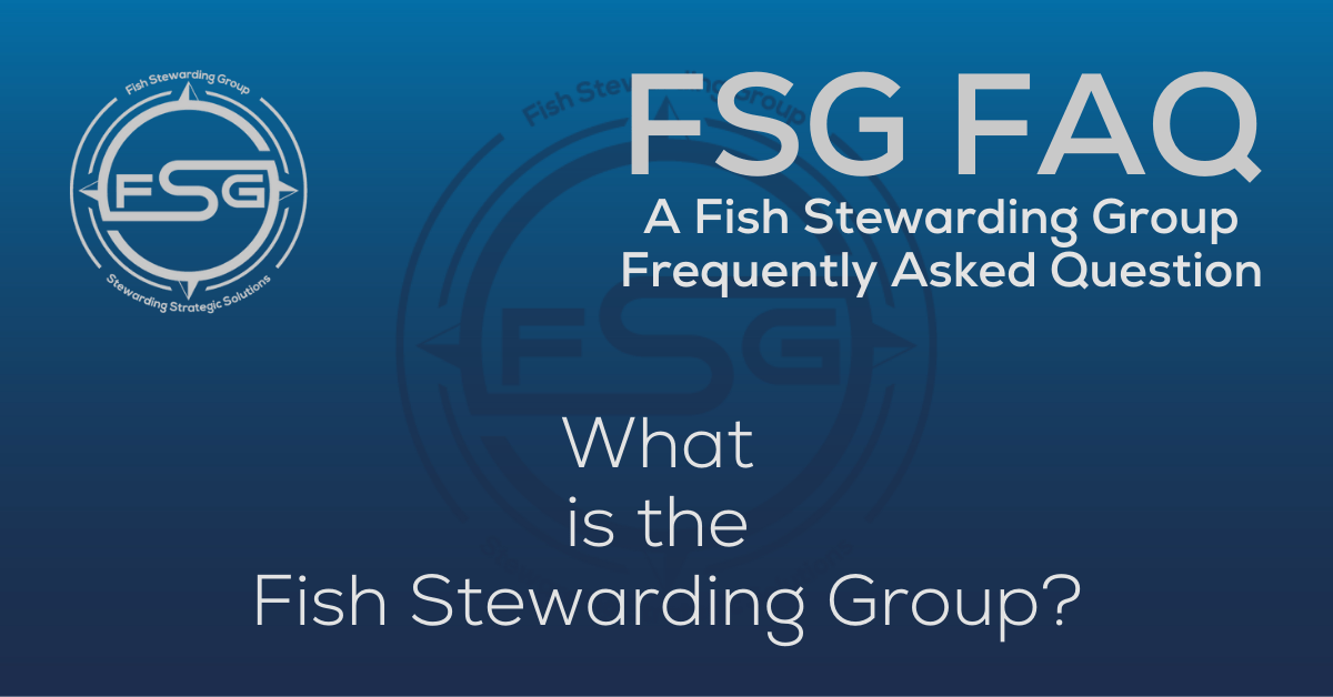 A rectangular Featured FAQ Image for the What is the Fish Stewarding Group? Frequently Asked Question Page on the website. The background is a blue gradient color that goes from a dark blue on the bottom to a lighter blue on top. The text in lower center of the image in a light gray reads: What is the Fish Stewarding Group? The text in gray in the upper right corner reads: FSG FAQ. Right beneath that is more gray text in a smaller font that reads: A Fish Stewarding Group Frequently Asked Question. On the upper left side is the FSG Logo in gray. The logo has the letters FSG in the middle with a circle with four pointed arrows facing north, south, east and west with the S connected to that circle. Four rounded lines make the next circle of the circle and the last layer is a thin circle with the text on the Bottom that reads Stewarding Strategist Solutions and on top, the text reads Fish Stewarding Group. And Lastly in the center background of the image is a watermarked FSG logo, faded in blue, in the background.