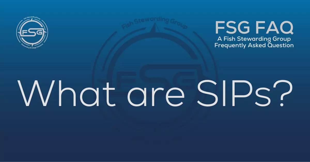 A rectangular Featured FAQ Image for the What are SIPs Frequently Asked Question Page on the website. The background is a blue gradient color that goes from a dark blue on the bottom to a lighter blue on top. The text in lower center of the image in a light gray reads: What are SIPs? The text in gray in the upper right corner reads: FSG FAQ. Right beneath that is more gray text in a smaller font that reads: A Fish Stewarding Group Frequently Asked Question. On the upper left side is the FSG Logo in gray. The logo has the letters FSG in the middle with a circle with four pointed arrows facing north, south, east and west with the S connected to that circle. Four rounded lines make the next circle of the circle and the last layer is a thin circle with the text on the Bottom that reads Stewarding Strategist Solutions and on top, the text reads Fish Stewarding Group. And Lastly in the center background of the image is a watermarked FSG logo, faded in blue, in the background.